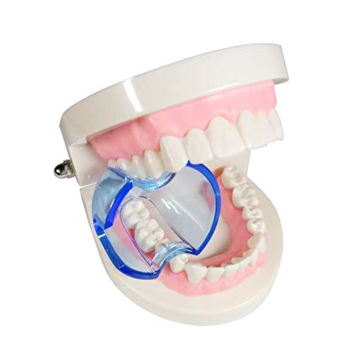 RoyalDental Dental Orthodontic Lip Cheek Retractor Expander Mouth Opener Autoclavable for Posterior Teeth Whitening Intraoral Supplies (15 pieces/lot)