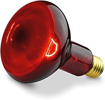 Beurer wydajna lampa na podczerwień: Amazon.pl: Health ...