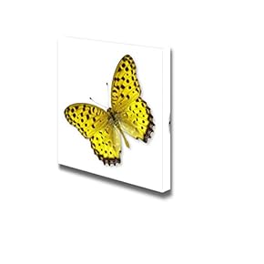 Canvas Prints Wall Art - Beautiful Flying Yellow Butterfly on White Background | Modern Wall Decor/Home Decoration Stretched Gallery Canvas Wrap Giclee Print & Ready to Hang - 12" x 12"