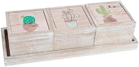 Dcasa - Cajas original decoradas de madera cactus con bandeja .: Amazon.es: Hogar