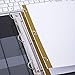AmazonBasics  Paper Binder Dividers, Writeable 8-Tab, 4/Pack