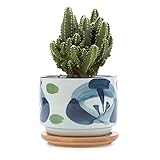 T4U 3 Inch Ceramic japanese Style Serial No.7 Sucuulent Plant Pot/Cactus Plant Pot Flower Pot/Container/Planter White