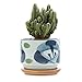T4U 3 Inch Ceramic japanese Style Serial No.7 succulent Plant Pot/Cactus Plant Pot Flower Pot/Container/Planter White