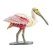 Safari Ltd. Wildlife - Spoonbill - Quality Construction from Phthalate, Lead and BPA Free Materials - For Ages 3 and Up