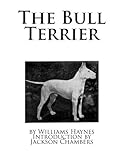 The Bull Terrier