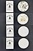 Organic Shampoo Bar 4-Pack | 7.2 oz | 6 month supply | All Natural Essential Oil Hair Bar Shampoo | 4 Scents: Lavender, Citrus, Tea Tree, and Peppermint | Free From Dyes, Sulfates, Harsh Chemicals