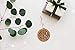 Birch Trees Laser Cut Wood Ornament (Christmas/Holiday / Keepsake/Tradition)