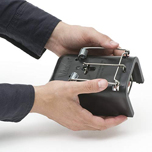 Victor 0625 The Black Box Gopher Trap Pricepulse