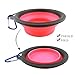 Arlei Pet Silicone Foldable Bowl - Retractable Travel Portable Water Bottle/Dish with a Metal Carabiner, Also Can Used as Flying Disc Toy for Dogs & Cats, Pink Brand change to:BOGZON