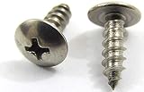 #6 x 1/2" Stainless Truss Head Phillips Wood Screw (100pc) 18-8 (304) Stainless Steel Screws by Bolt Dropper