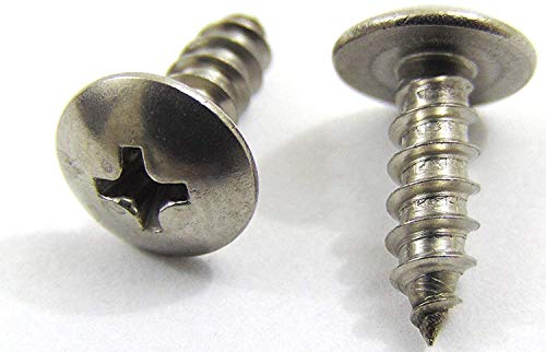 #6 x 1/2" Stainless Truss Head Phillips Wood Screw (100pc) 18-8 (304) Stainless Steel Screws by Bolt Dropper