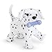 American Girl Truly Me Dalmation Puppy with bone 2014 Ages 8+