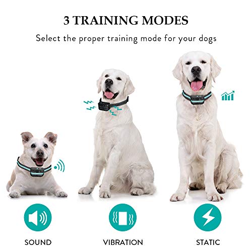 tokego dog training collar