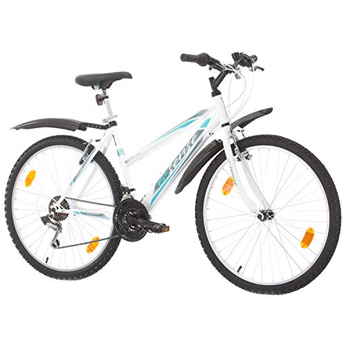 Multibrand, PROBIKE 6th Sense, 460mm, 26 Zoll, Mountainbike, Shimano 18 Gang, Schutzblech-Set, Für Damen (Türkis/Weiss+Kotflügel)