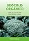 Livro Brócolis Orgânico