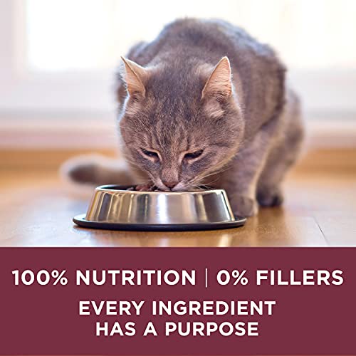 Purina ONE High Protein Dry Cat Food, +Plus Urinary Tract Health
