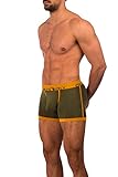 Lumber Collection - AnatoFREE Boxer Brief 3 inch Leg - Cypress - Large