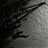 Max Richter Album: «The Blue Notebooks» (Front side) Max Richter Album: «The Blue Notebooks» (Front side)