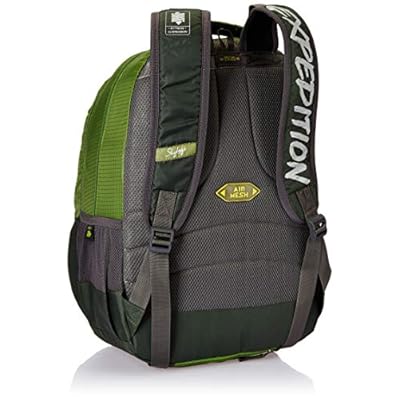 Skybags Bingo Extra 01 32 Ltrs Green Casual Backpack (Bingo Extra 01)