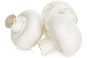 500 Pcs Button Mushroom Seeds, Mushrooms, Winter-Proof Plants for Balconies, Mushroom Breeding, Growing Your Own Mushrooms, B