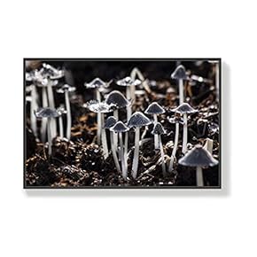 Canvas Wall Art for Living Room, Bedroom Life Framed Canvas Prints for Home Decoration Ready to Hang - 16x24 inches