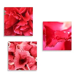 3 Panel Romantic Rose Pictures Home Wall for...