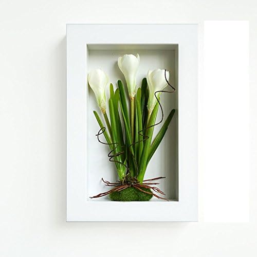 3D Frame Silk Artificial Flower Arrangement Wall art Fake Phalaenopsis orchid Home Wall Tabletop Decoration or Wall Mounted Sculptures (white)