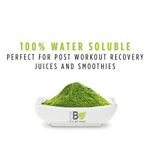 Nubeleaf Wheat Grass Juice Powder - Non-GMO, Gluten-Free, Organic, Raw, Vegan Source of Essential Vitamins & Minerals - Single-Ingredient Nutrient Rich Superfood for Cooking, Baking, Smoothies (14oz) - Thumbnail 2