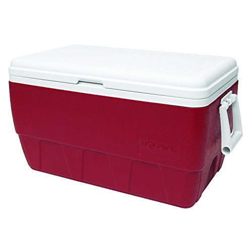 igloo contour cooler 52