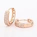 GULICX Party Jewellery Cubic Zirconia Round Hoop Elegant Huggie Earrings Clear Gold Plated Brass