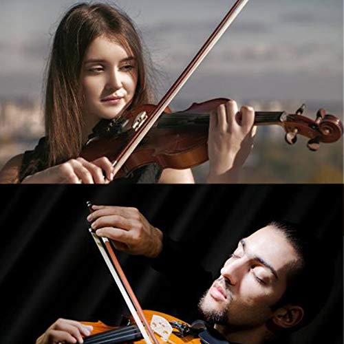 5 Rosin+Violin+Natural+violin+YJ+F02