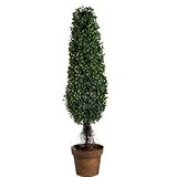 A&B Home 58146 Artificial Boxwood Tree, 7.5 by 7.5 by 35-Inch