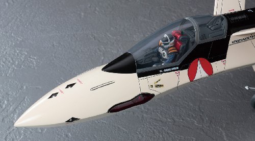 1/48 Macross Plus YF-19 (Plastic model)