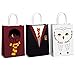 Magical Wizard School Favors Bags for Children Birthday Party Supplies,Dress Up Novelty Decorations Set of 15