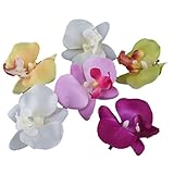 6 PCS New Orchid Flower Fashion Hair Clip Hairpins Bridal Hawaii Party Girl