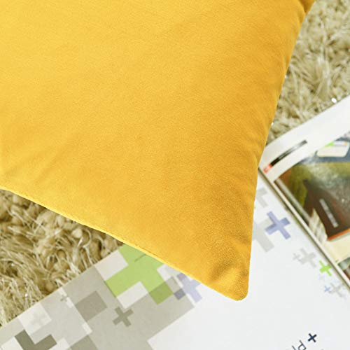 COMFORTLAND Lumbar Throw Pillow Cases,2 Pack, Solid Soft Velvet Rectangular Decorative Pillow Covers,Accent Pillowcases,Euro Cushion Covers for Farmhouse, Couch,Sofa,Kids,12 x 20 Inch,Orange Yellow - Thumbnail 5