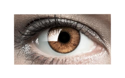 Bausch + Lomb SofLens Natural Colors Monatslinsen, sphaerische Kontaktlinsen, weich, Dark Hazel 2 Stueck BC 8.7 mm / DIA 14 / -4.5 Dioptrien