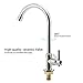 Cold Water Faucet Only, High Arc Single Handle One Hole Faucet for Kitchen Garden Bar Outdoor Boat Camper(Free Cold Water Supply Lines)