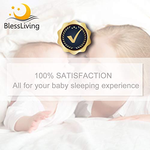 41BTzhcWb7L 41BTzhcWb7L