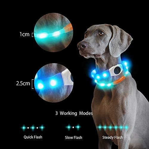 LaRoo LED Hundehalsband USB Wiederaufladbarer Night Safety
