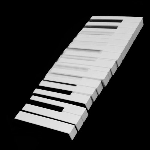 Generic ABS Plastic Piano Keytops Kit Replacement Piano Key