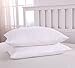 Zoom High Quality Goose Feather Bed Pillows ,2-Pack,White, Standard Size
