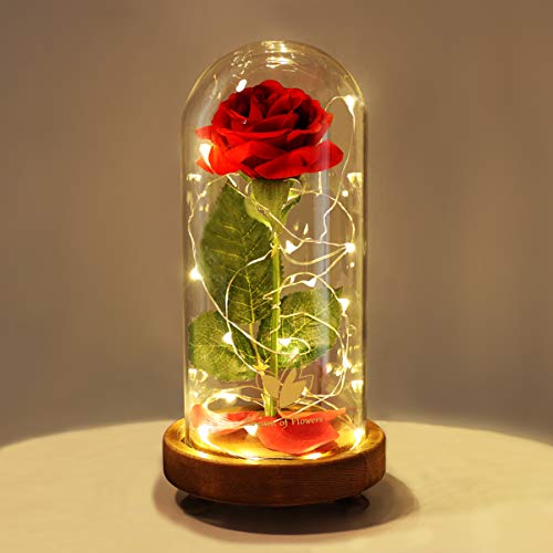 Dream of Flowers Beauty and The Beast Rose Kit, Red Silk Rose Lasts Forever in a Glass Dome with LED Lights, Gift for Women Mothers Day Valentine's Day Wedding Anniversary - Thumbnail 7