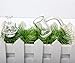 LEKA NEIL 100% Made of Quartz 25mm Wide 4mm Thick Flat Top Quartz with Glow Ball(14mm Male)