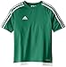 adidas Kids' Soccer Estro Jersey, Bold Green/White, Medium