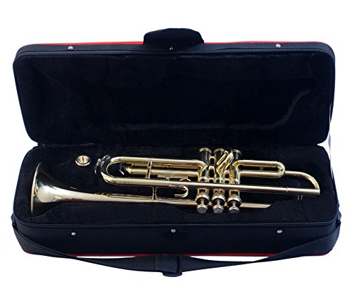 Euphonium 3 Valves (Tuba) Shinning Brass Bb FLAT "CHOPRA "M/ P & Bag