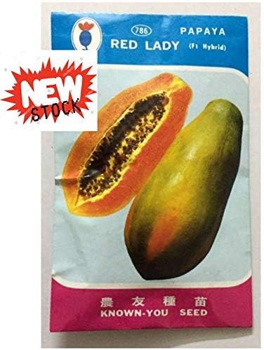 know u seed Red Lady 786 Papaya F1 Hybrid Seeds - Pack of 50