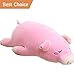PASSIONFRUIT Stuffed Plush Pig/Piggy Pet -Toy Pink 17.6
