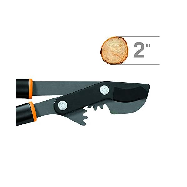 Fiskars 81,3 cm PowerGear Bypass-Astschere – Bild 3