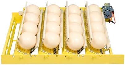 Goose Egg Racks for Egg Turner